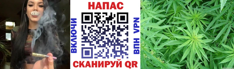 Конопля MAZAR  дарк нет наркотические препараты  Сургут 